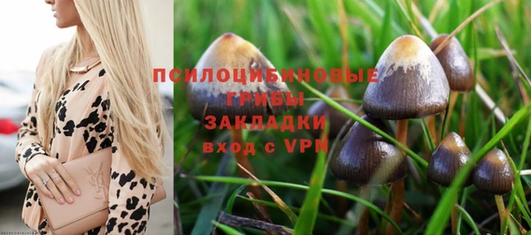 соль ск Аркадак