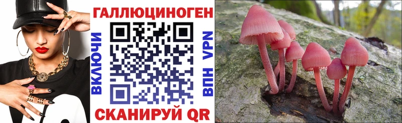 где найти наркотики  Верхоянск  Псилоцибиновые грибы ЛСД 